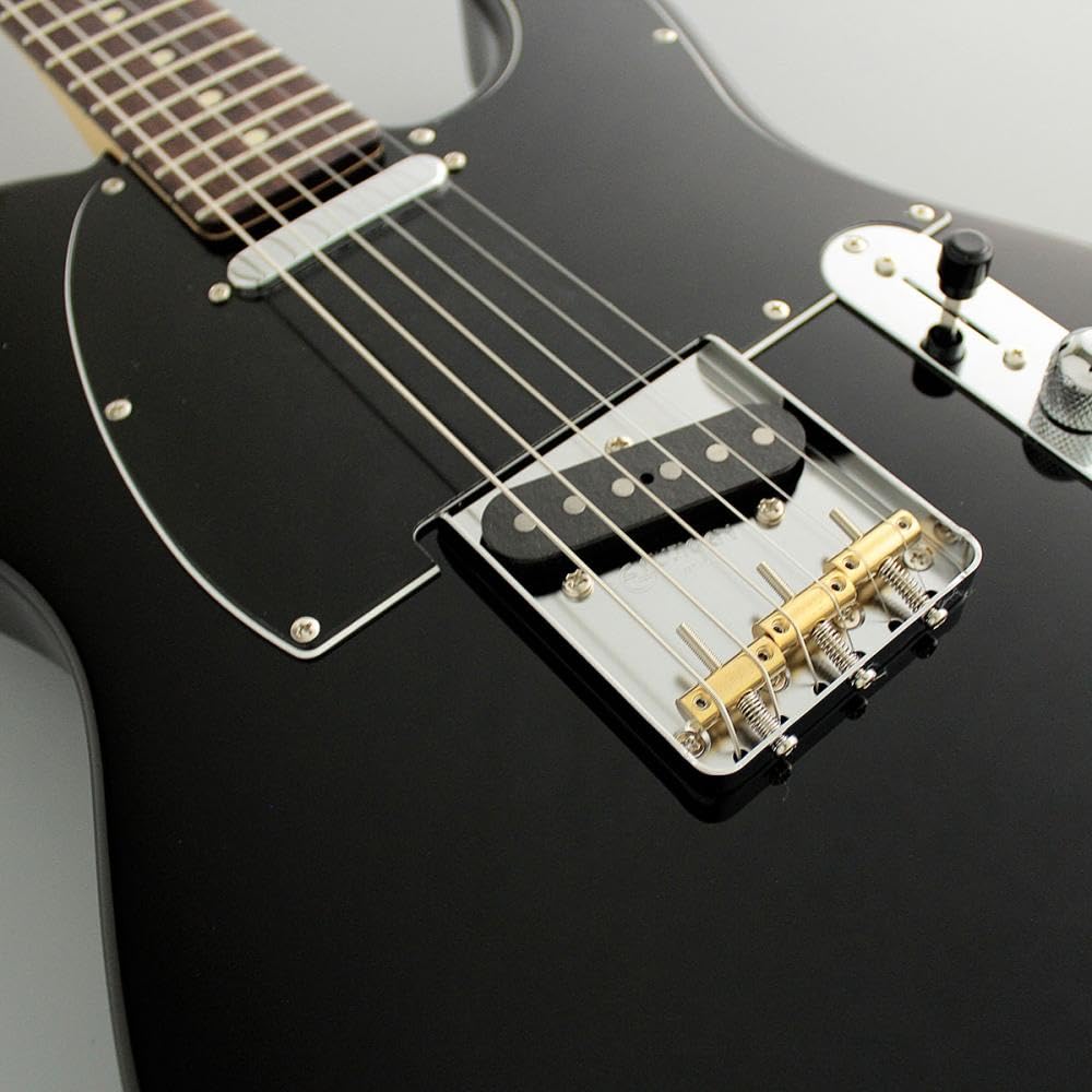 Amazon | FUJIGEN Neo Classic SERIES NTE100RAL-BK/01 エレキギター
